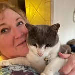 Lynne Evans - @lynneevans3166 - Instagram