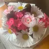 lynneevansmccarth - @lynneevansmccarth - TikTok