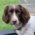Lynne Farrell - Facebook