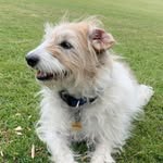 Lynne Farrell - @ly.nne3560 - Instagram