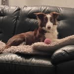Lynne Farrell - @lynnefarrell1 - Instagram