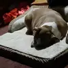 Lynn Ferrell - @lynn.ferrell0 - TikTok