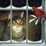 Lynne Solovitch Field - Facebook