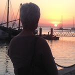 Lynne Fleming - @lynnemfleming - Instagram