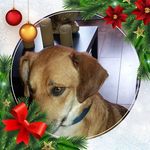 Lynne Fleming - @lynne.fleming.58 - Instagram