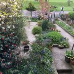 Lynne ford - @lynneford8 - Instagram