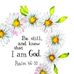 Lynne Ford - Facebook