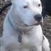 Lynne Gentile - Facebook
