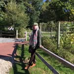 Lynne Gentile - @lynnedgentile3 - Instagram