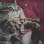 Leo Lynne Glenn - @my_pet_leo_ - Instagram