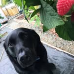 Lynne Glennie - @lynne.glennie.2 - Instagram