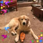 Lynne Ludwig Glennon - @lynneglennon - Instagram
