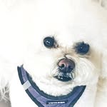 Lynne Green - @justlynnegreen - Instagram