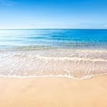 Lynn Guest - @lynn.guest.376 - Instagram
