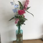 Lynn guest - @guest.lynn - Instagram