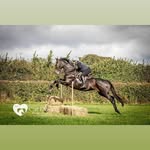 Lynne - @lynneguilfoyle - Instagram