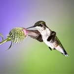 Lynn Guthrie - @lguthrie0907 - Instagram