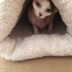 Lynn Hackett - @lynnhackett1962 - Instagram