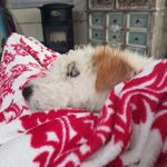 lynne Hackett - @lynne.hackett - Instagram