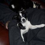 Lynne M Hackett - @lynneh18901 - Instagram