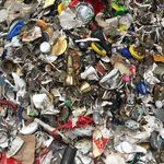 Lynne_Haley - @litterdiver - Instagram