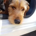 Lynne Handley - @handleylynne - Instagram