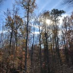 Lynne Higgins - @goshdangitmom - Instagram