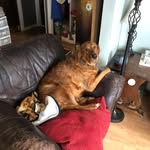 Lynne Hogle - @malilara - Instagram