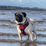 Lynne Hunter - @lynnehunter40 - Instagram