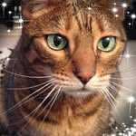 Lynne Hunter - @lynnehunter1602 - Instagram