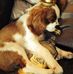 Lynne Hurley - Facebook