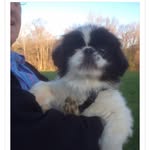 Lynne Iverson - @lynneiverson1651 - Instagram