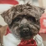 Lynne Iverson - @lynnef.i - Instagram