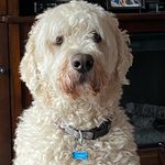 lynne johnstone - @johnstone_lynne - Instagram