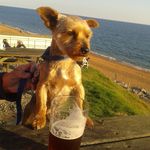 Lynne Johnstone - @lynnejohnstone1213 - Instagram