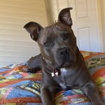 Lynn Kaplan - @lynnkaplan22 - Instagram