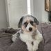 Lynne Kaplan - Facebook