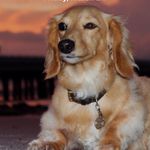Lynne Kaplan - @l.kaplan - Instagram