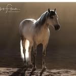 Lynne Kay - @pumba_kay - Instagram