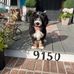 Lynne Kay - Facebook