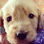 Lynne Kay - @lynnekay62 - Instagram