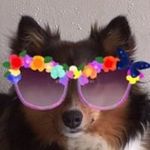 Lynne Kellogg - @kellogglynne - Instagram