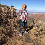 Lynne Kenton Capecelatro - @lynne_kenton_capecelatro - Instagram