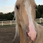 Lynne Klein - @lynne_klein - Instagram