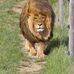 Lynne Kramer - Facebook