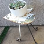 Lynne Lammers - @lammerslynne - Instagram
