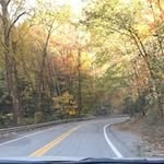 Lynn Lavender - @lynlavender11 - Instagram