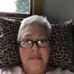 Lynne Levine - @levinelynne - Instagram