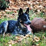 Lynn Loftin - @lloftin74 - Instagram