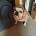 Lynne Long - Facebook